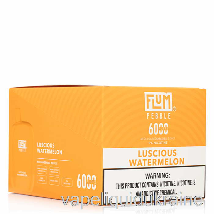 Vape Ukraine [10-Pack] Flum Pebble 6000 Disposable